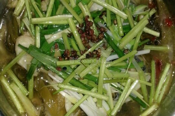 酸菜鱼的做法图解3