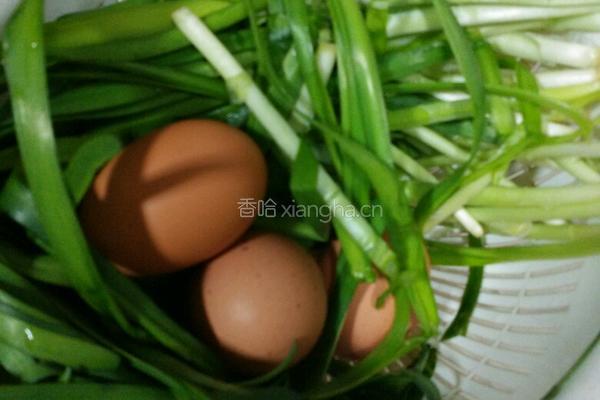 鸡蛋韭菜煎饼的做法图解1