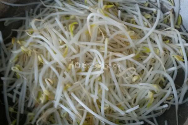 青蒜炒绿豆芽的做法图解2