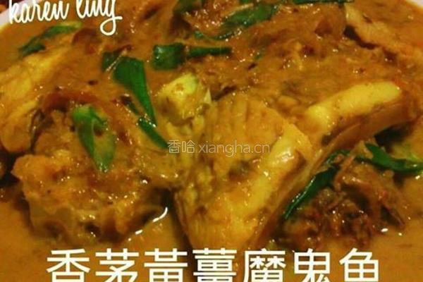 黄姜魔鬼鱼