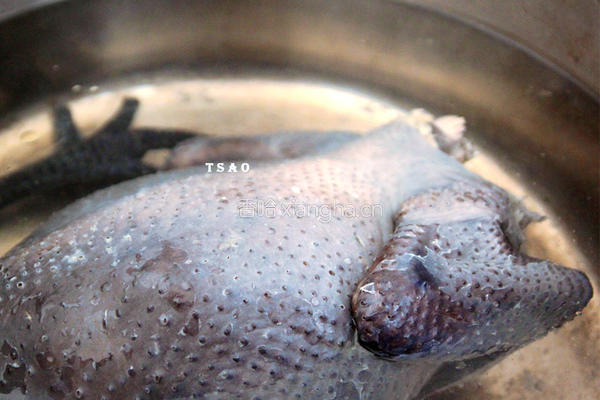药膳乌骨鸡汤的做法图解4