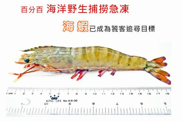 西班牙海鲜炖饭的做法图解12