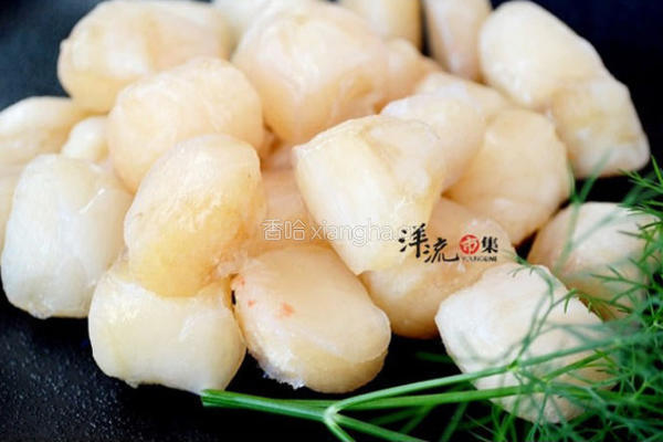 西班牙海鲜炖饭的做法图解14
