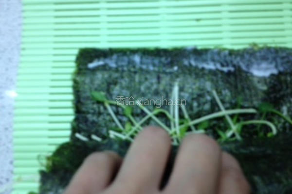 海苔豆苗卷的做法图解5