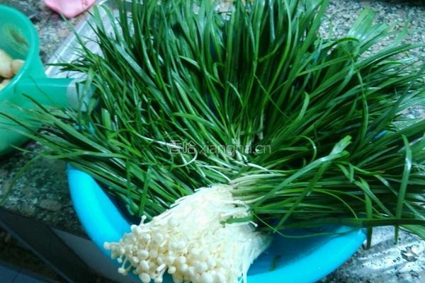 薯粉饺子的做法图解1