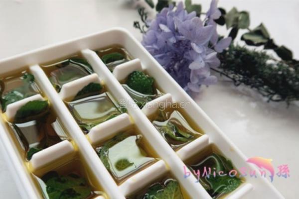 机冷压橄榄油的做法图解4
