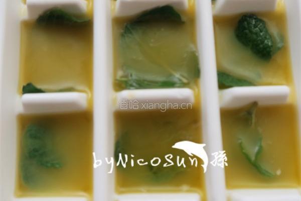 机冷压橄榄油的做法图解5