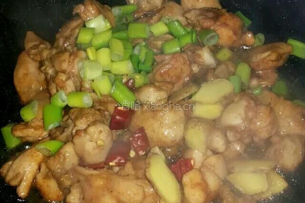 黄焖鸡米饭的做法图解5