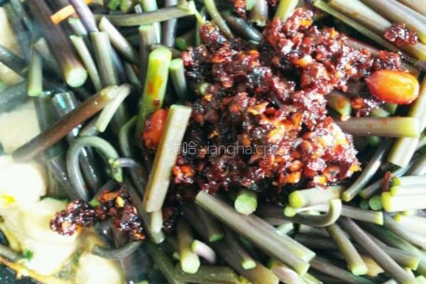 野蕨炒鸡丁的做法图解5