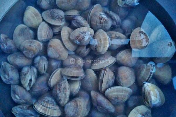 辣炒黄蚬的做法图解1