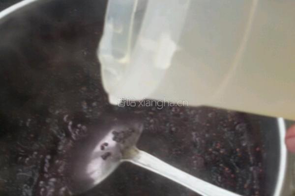 桑葚酱的做法图解3
