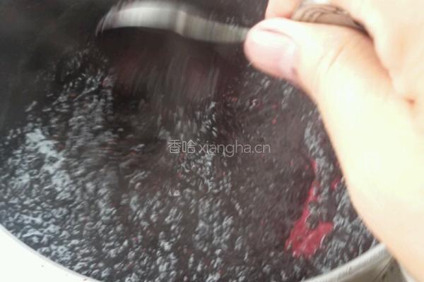 桑葚酱的做法图解4