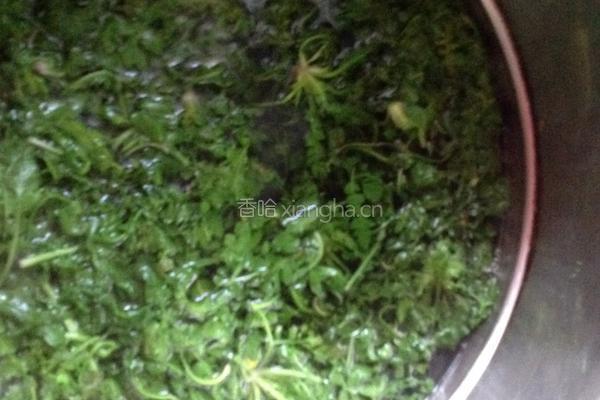 荠菜肉包子的做法图解2