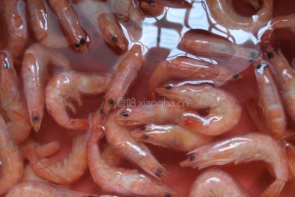豆丁奇遇记的做法图解1