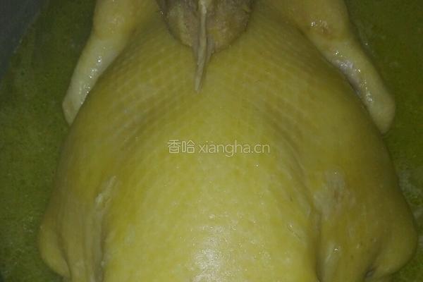 清炖整只鸡的做法图解5