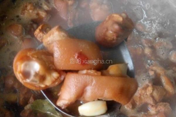 南乳猪手的做法图解8