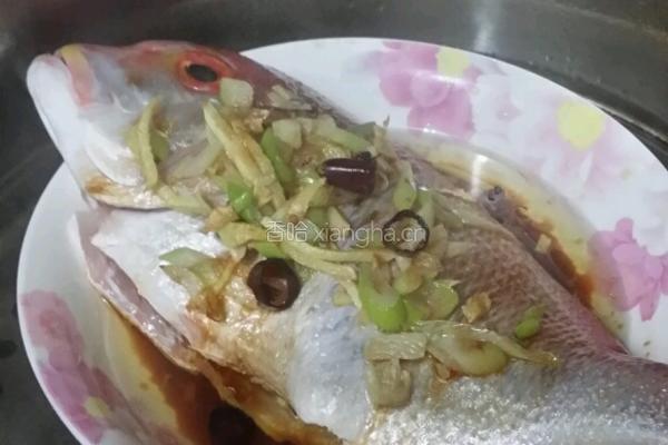 蒸红鲷鱼的做法图解3