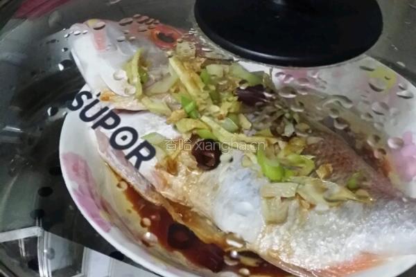 蒸红鲷鱼的做法图解4
