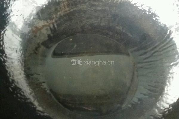 西葫芦炒西红柿的做法图解3