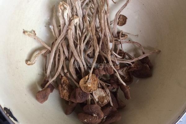 茶树菇排骨汤的做法图解1