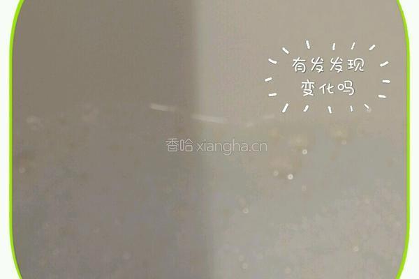 红豆双皮奶的做法图解6