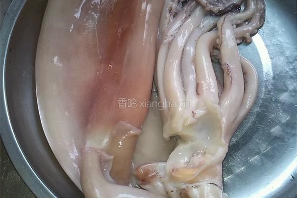 豆瓣酱爆鱿鱼的做法图解1