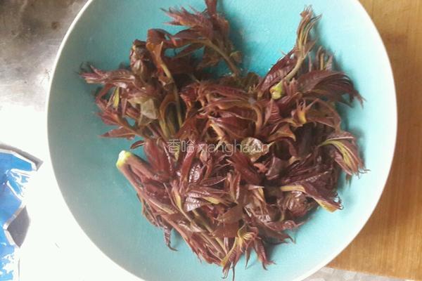 香椿芽煎鸡蛋的做法图解1