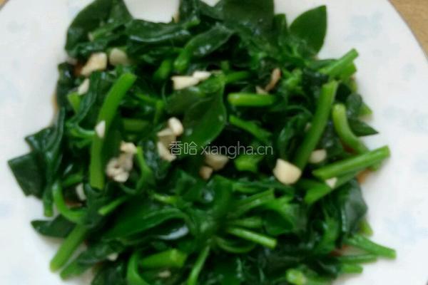 去火菜的做法图解5