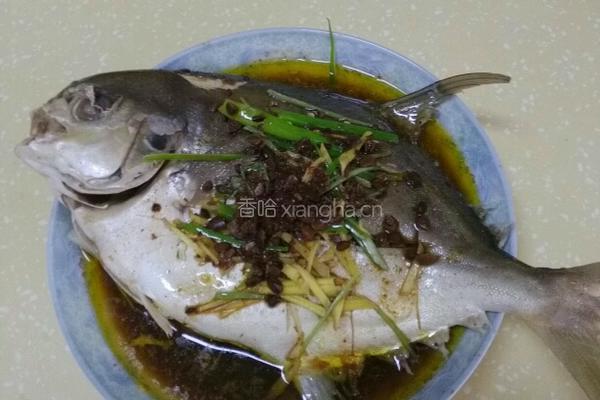 蒸黄鲳鱼的做法图解7