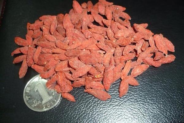 菊花枸杞茶的做法图解2