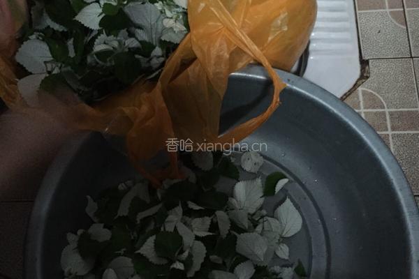 树麻糍粑的做法图解1