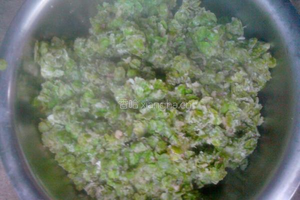 蒸榆钱儿的做法图解5