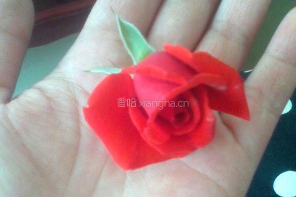 玫瑰花茶的做法图解1