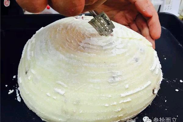 <面包>苹果图兰朵天然酵母面包制作配方（图文教程）-叁拾而立烘焙学院，配方每周五更新的做法图解11