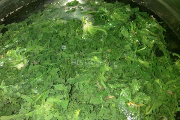 荠菜肉包子的做法图解2