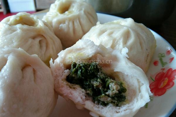 荠菜肉包子的做法图解8