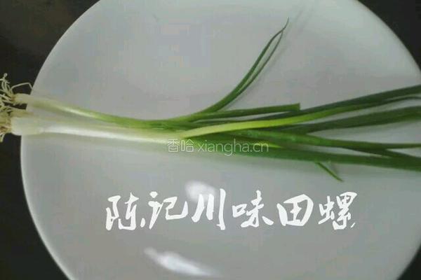 陈记秘制田螺的做法图解4