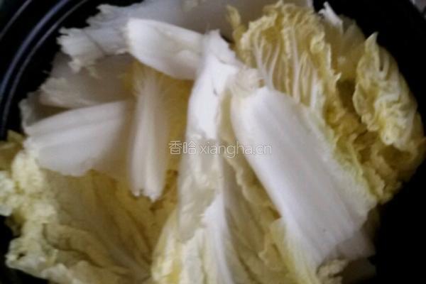 萝卜燜大白菜的做法图解4