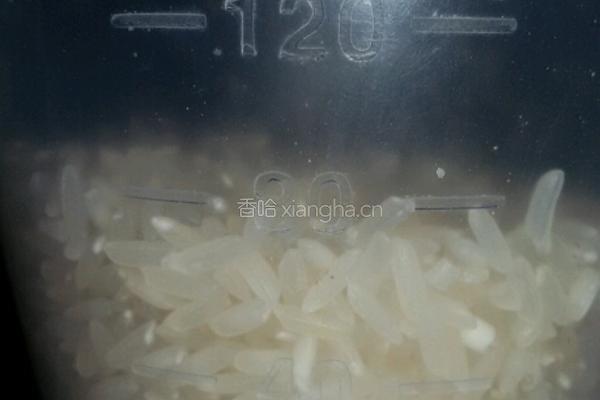 超简易懒人花蛤粥 的做法图解3