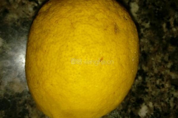 酸白菜的做法图解3