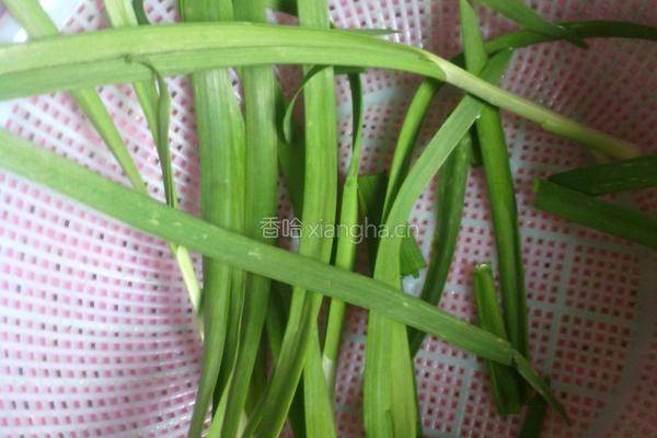 猪肉韭菜饺的做法图解1