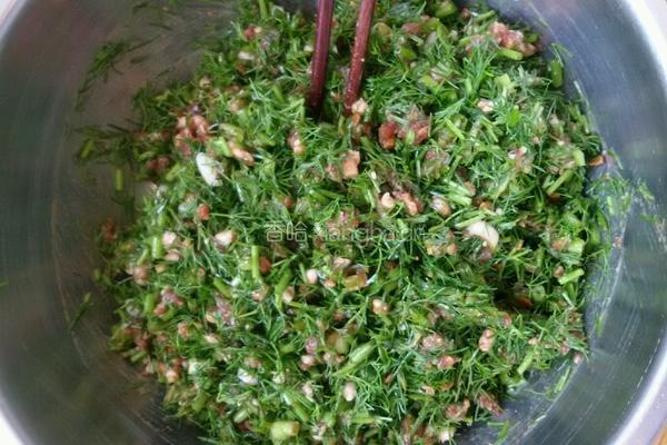 茴香馅饺子。的做法图解1