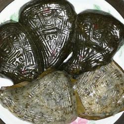 鼠壳粿的做法[图]