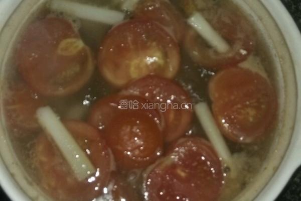 番茄排骨汤的做法图解4