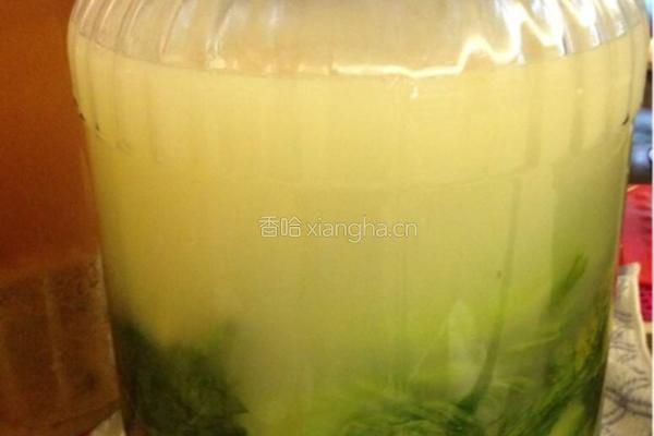 自制酸菜的做法图解2