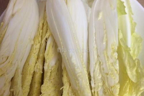 肉末粉丝蒸娃娃菜的做法图解2