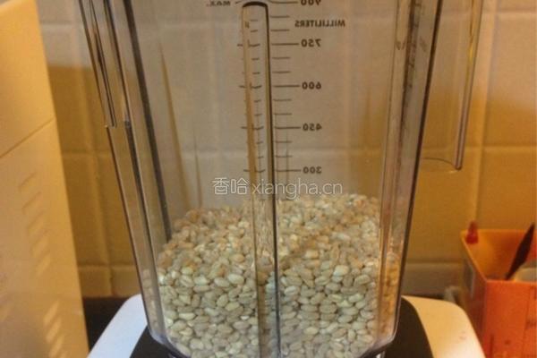 小麦馒头的做法图解2