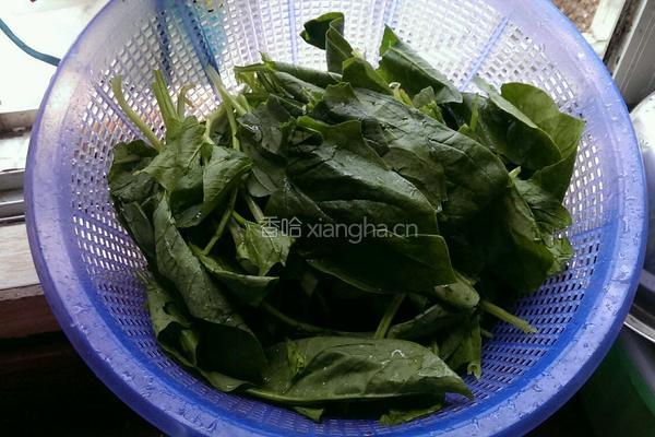 清炒菠菜的做法图解1