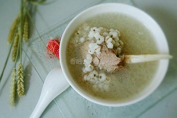 薏米筒骨汤的做法图解5