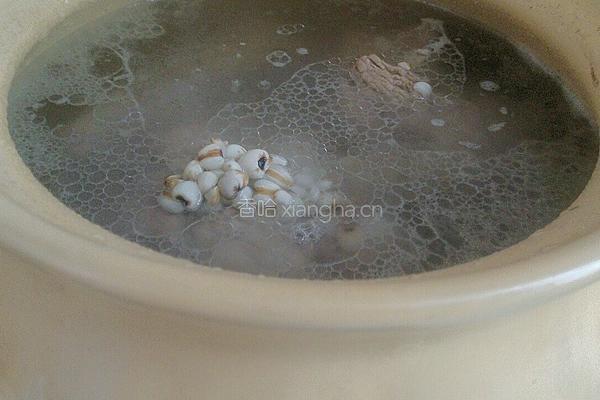 薏米筒骨汤的做法图解4